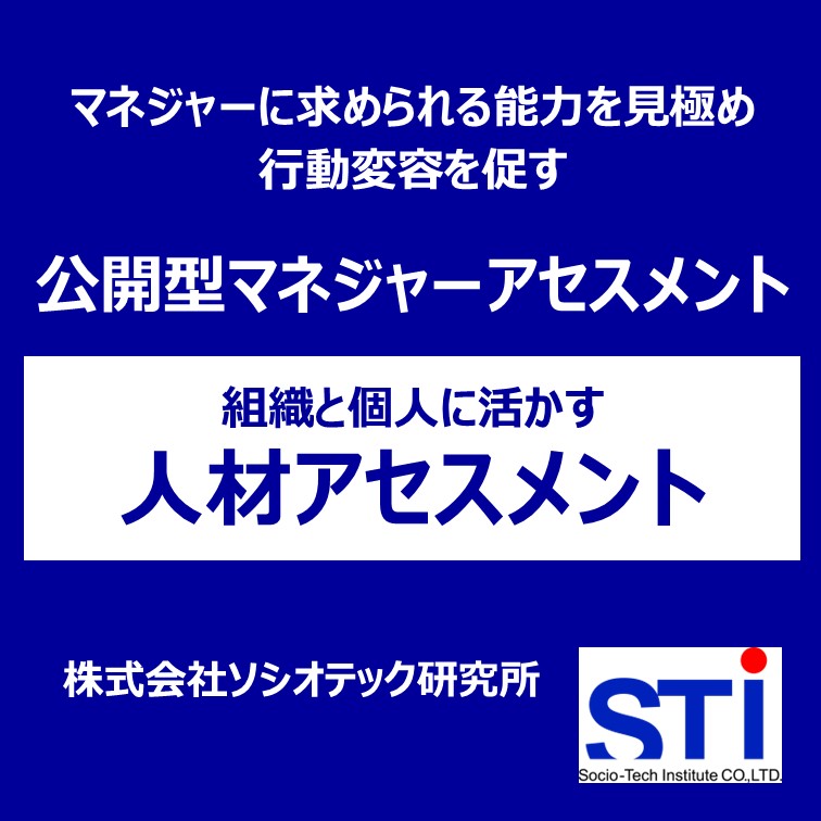STI論文アセスメント(SEA)｜株式会社ソシオテック研究所｜適性